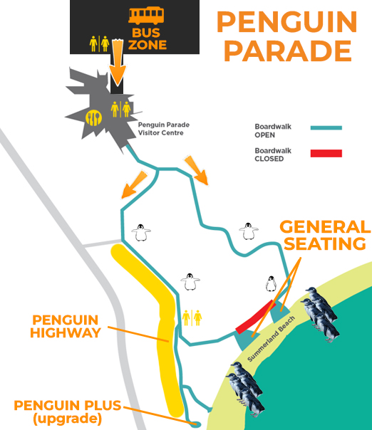 Phillip Island Penguin Parade Map